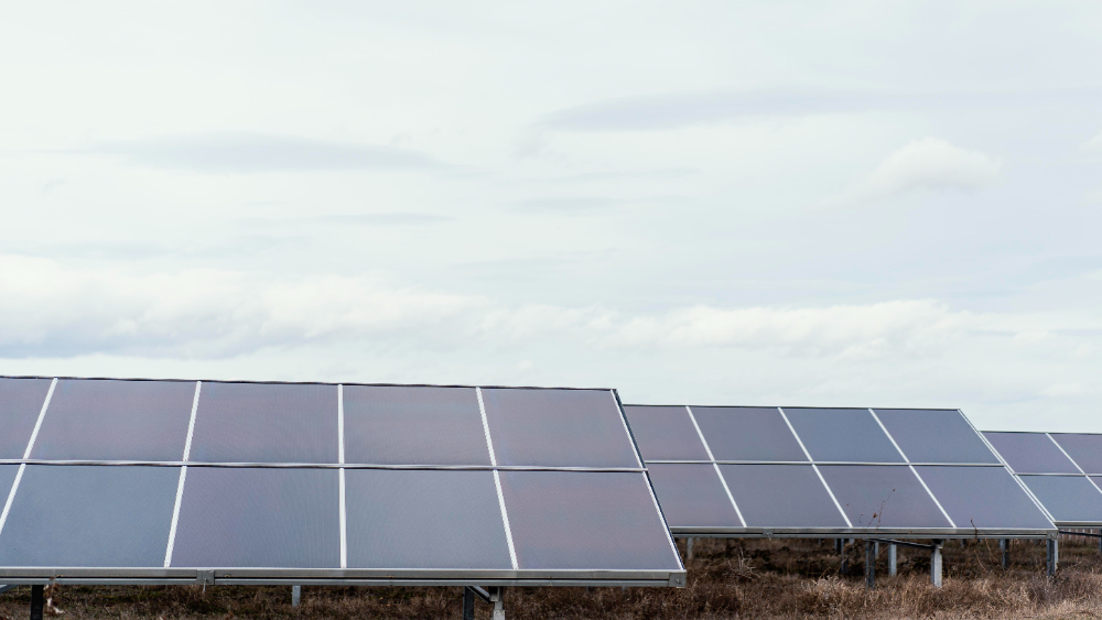 Panouri fotovoltaice pentru afaceri